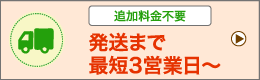 発送まで最短3営業日～